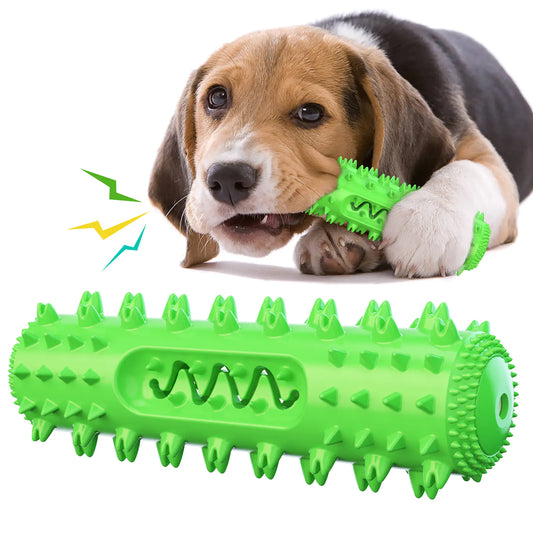 Amazon Pet Chew Toothbrush and Dental Ball Toy